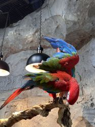 -Zoolung Zoolung动物主题公园(海信广场店)