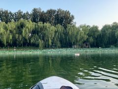 -WhaleSports户外水上运动俱乐部(朝阳公园店)