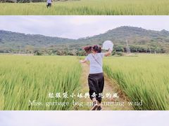 -艾米稻香小镇