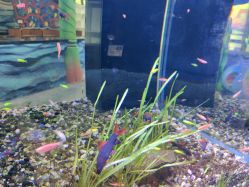 -酷嗒动物文化乐园(cutezoo西溪乐天城店)