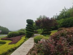 -棒棰岛宾馆景区