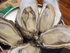 -蚝堡海鲜·威海菜·海肠捞饭·烧烤·亚洲吃蚝公司(幸福门店)