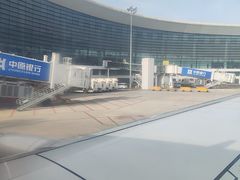 -郑州新郑国际机场-T2航站楼