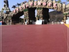 -安徽大青山野生动物世界