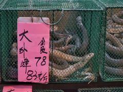 -荔城生鲜盛宴(番禺旗舰店)