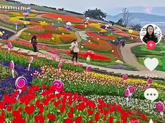 -成都泰迪熊博物馆