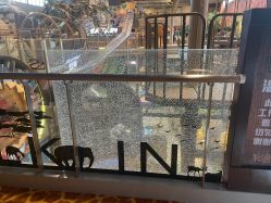 -卡通尼·Safari非洲探索乐园·生日会(金桥国际商业广场店)