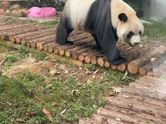 -黔灵山公园