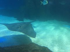 -常州海昌海洋探索馆