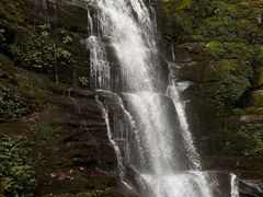 -碧峰峡风景区