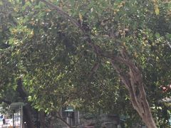 -江墅铁路遗址公园