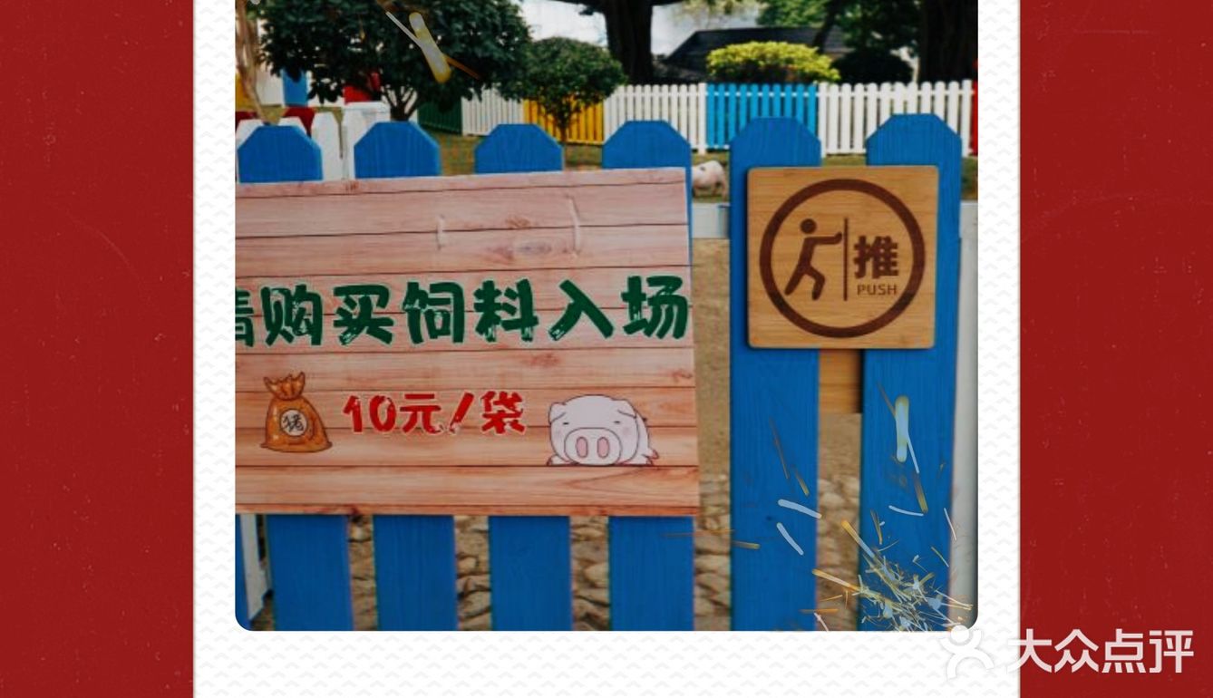 跟我一起去找小猪玩！