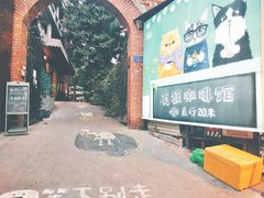 -有猫主题·治愈系猫咖(曾厝垵店)