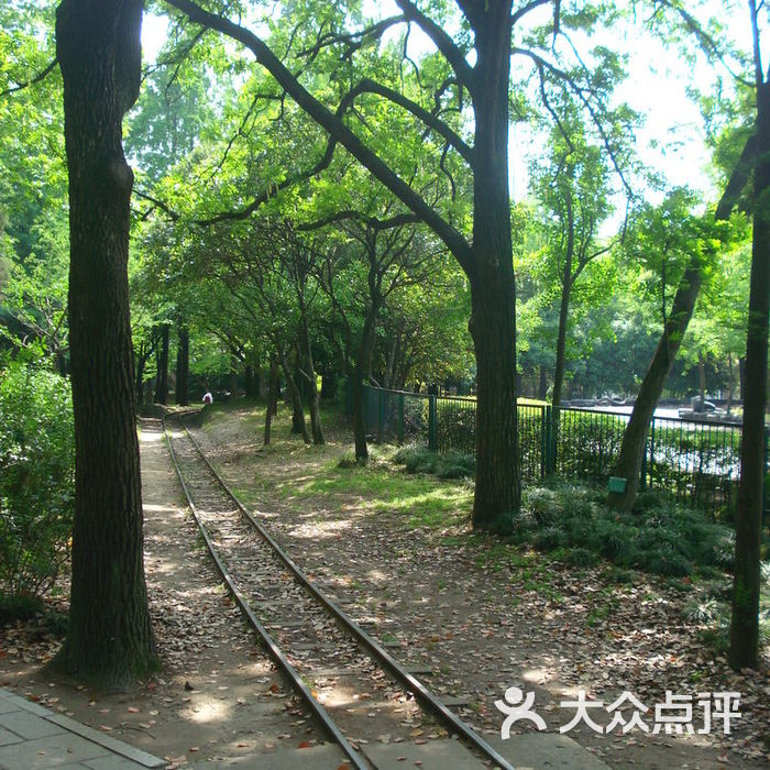 共青國家森林公園森林火車道圖片-北京自然風光-大眾點評網