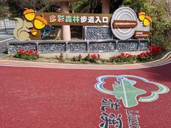 -广州市流溪河国家森林公园