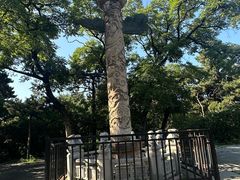 -北陵公园