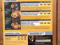 -怀托摩萤火虫洞