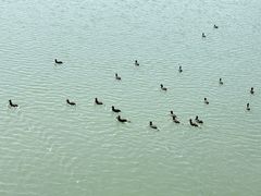 -贡湖湾湿地公园