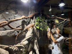 -Zoolung Zoolung动物主题公园(海信广场店)