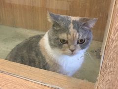 -藦茜花园宠物主题亲子互动体验馆(国顺东路店)