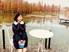 -白鹭湾湿地公园