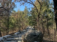 -阳台山自然风景区