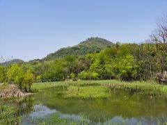 -西湖风景区-江洋畈生态公园