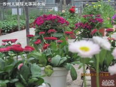 绿光农场照片 031-苏州太湖西山岛开心农场