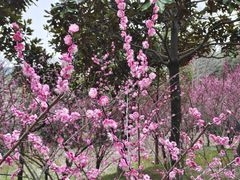 -苏州环秀晓筑养生度假村