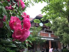 -星巴克臻选(思南公馆店)