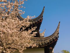 -苏州上方山国家森林公园
