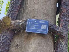 -武侯墓风景区