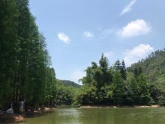 -滴水岩森林公园