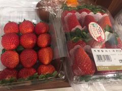 -乐天免税店(明洞店)