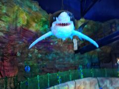 -青岛嘉年华主题乐园