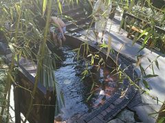 -天明山温泉大酒店