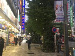-秋叶原电器街