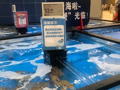 -盒马X会员店(王府井奥莱UP TOWN店)
