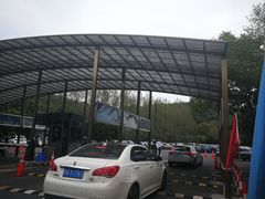 -上海佘山国家森林公园东门地面停车场