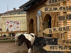 -HERRE·FARM 赫尔露营农场·团建聚会包场