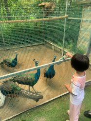 -萌宠亲子动物乐园(槐房万达店)