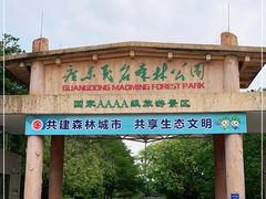 -广东茂名森林公园