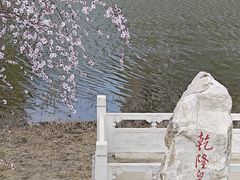 -桃花堤公园