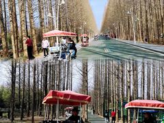 -巧克力渔家.小船海鲜胶东菜(万平口店)