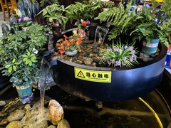 -九寨沟石锅鱼(沣峪口二十年店)