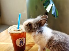 -小意思咖啡店(草桥店)