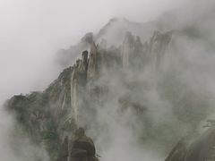-菜当家