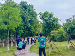 -八仙山公园