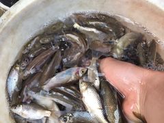 -7mall美食潮地标