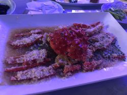 -新城花园酒店·宴会厅